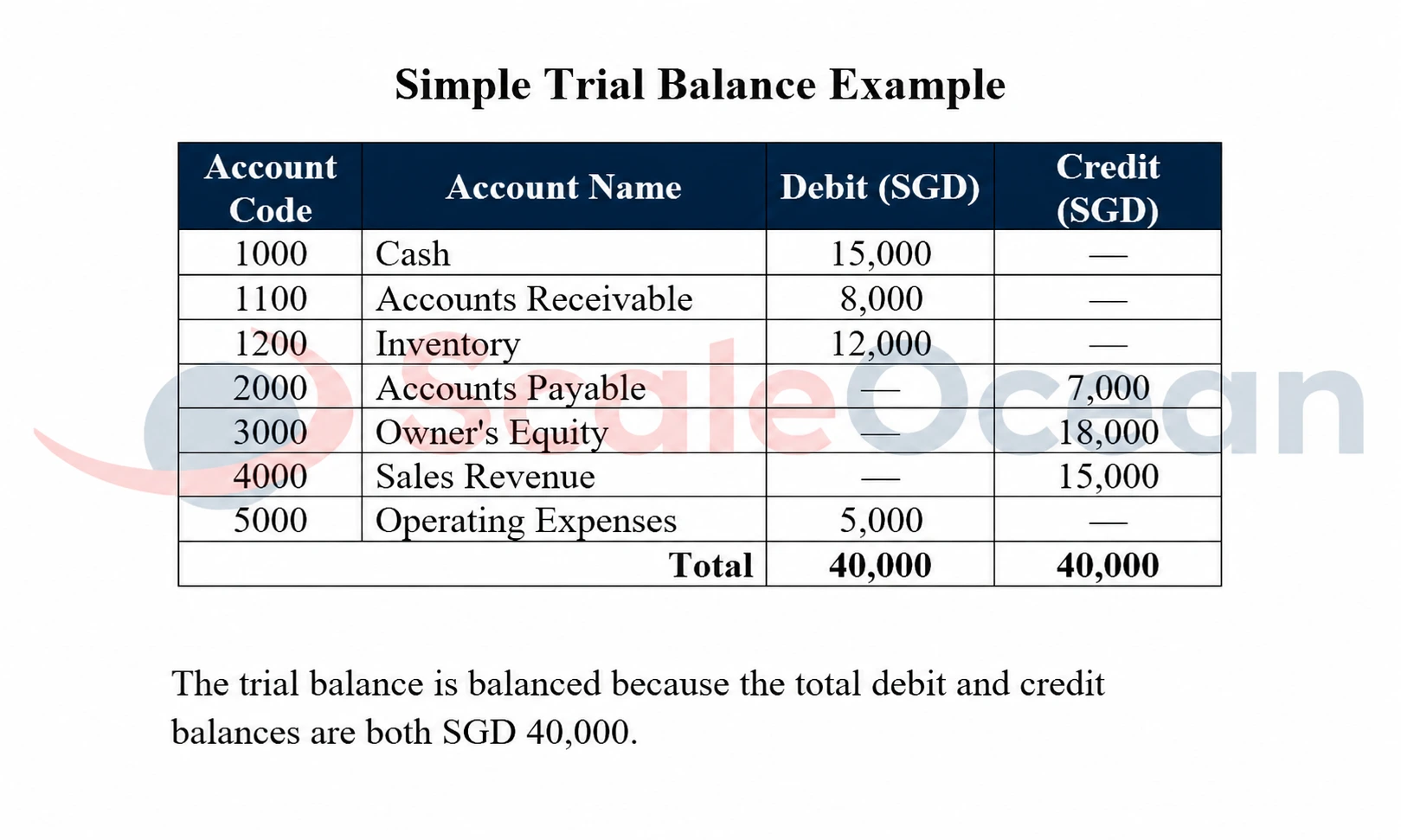 Trial Balance Format and Example